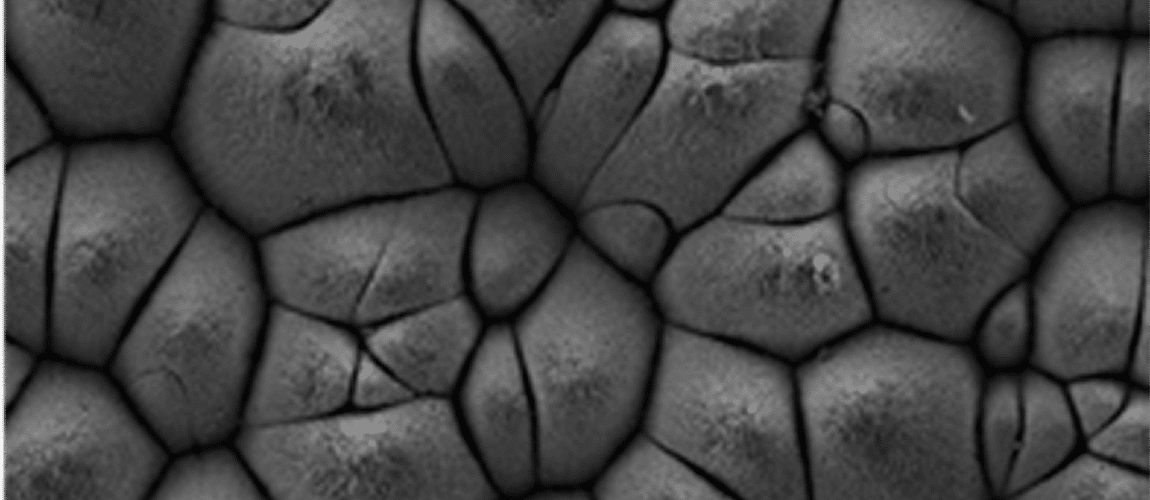 ALPhANOV increases surface texturing process throughput with CANUNDA-PULSE