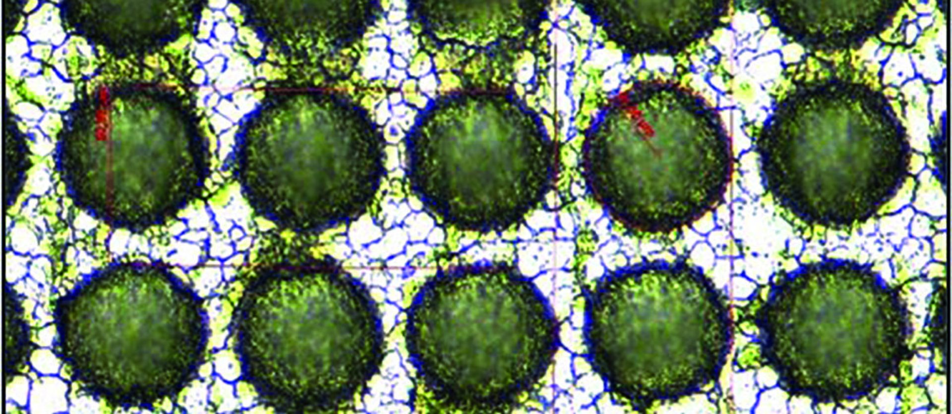 Améliorer les propriétés tribologiques de surfaces métalliques avec CANUNDA-SPLIT