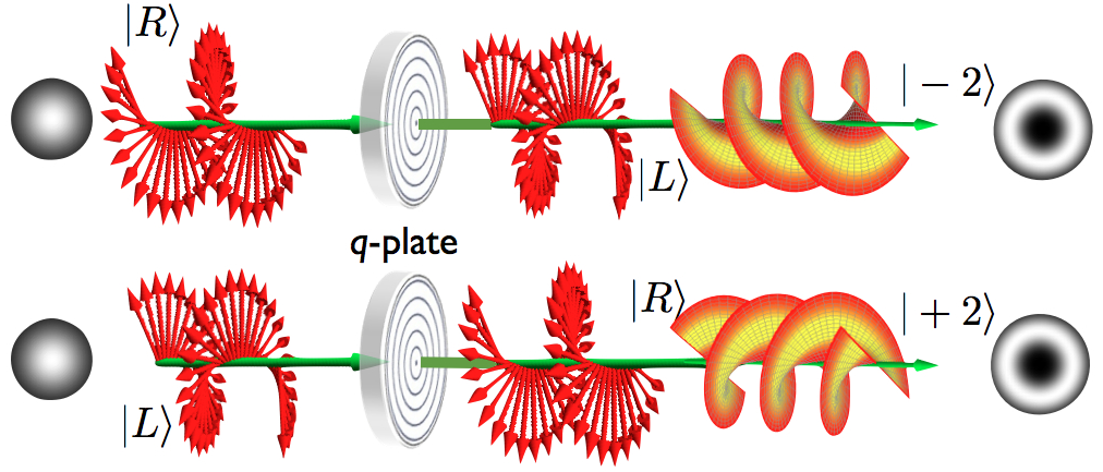 Q Plate