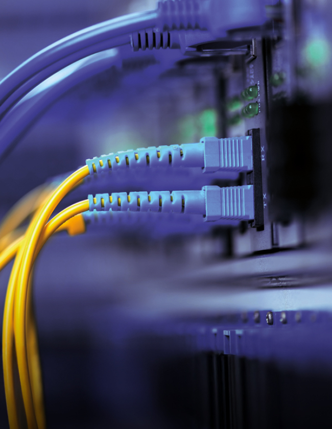 Fiber Networks
